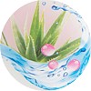 bionsen_aloe vera_mini